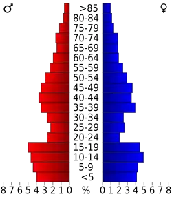 Bevolkingspiramide Blaine County