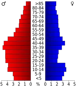 Bevolkingspiramide Blaine County