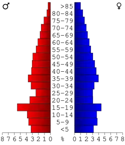 Bevolkingspiramide Bleckley County