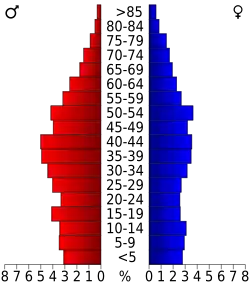 Bevolkingspiramide Bledsoe County