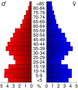 Bevolkingspiramide Boone County