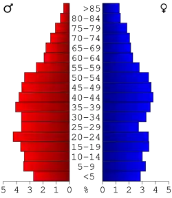 Bevolkingspiramide Boyle County