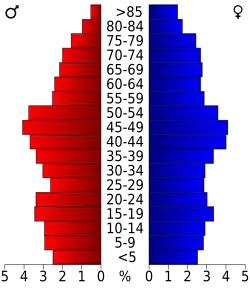 Bevolkingspiramide Brooke County