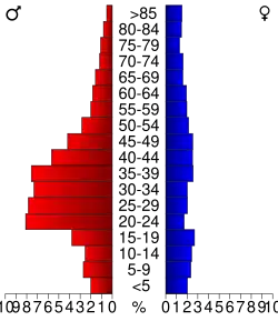 Bevolkingspiramide Brown County