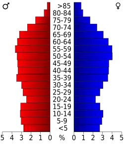 Bevolkingspiramide Brunswick County