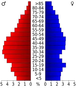 Bevolkingspiramide Brunswick County