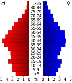 Bevolkingspiramide Buchanan County