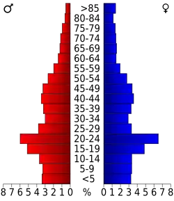 Bevolkingspiramide Buffalo County