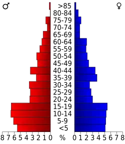 Bevolkingspiramide Buffalo County