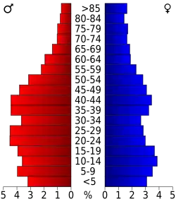 Bevolkingspiramide Bullock County