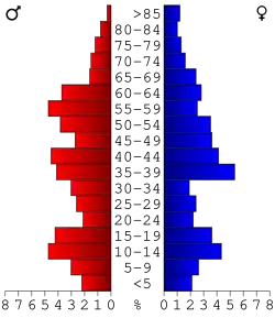 Bevolkingspiramide Camas County