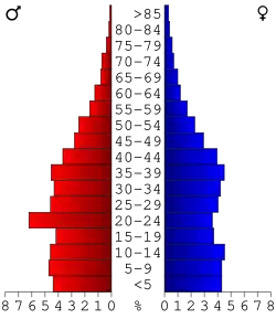 Bevolkingspiramide Camden County