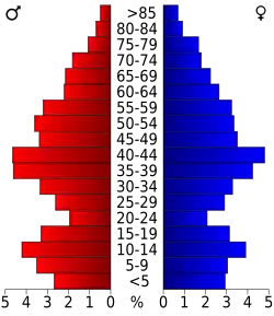 Bevolkingspiramide Camden County