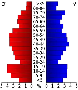 Bevolkingspiramide Cameron County
