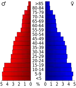 Bevolkingspiramide Cameron County