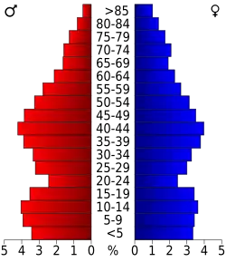 Bevolkingspiramide Carroll County