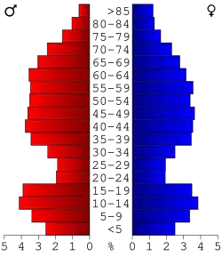 Bevolkingspiramide Cass County