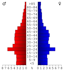 Bevolkingspiramide Cass County