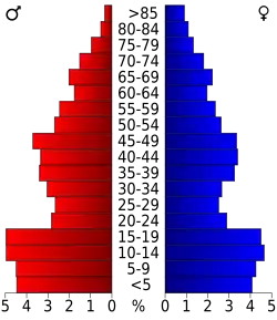 Bevolkingspiramide Castro County