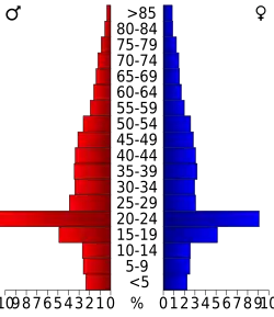 Bevolkingspiramide Centre County