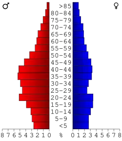 Bevolkingspiramide Chippewa County