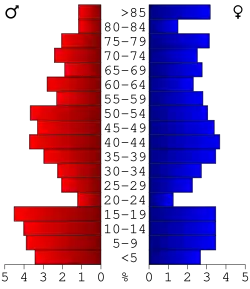 Bevolkingspiramide Clark County