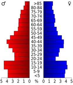 Bevolkingspiramide Clark County