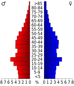 Bevolkingspiramide Cleveland County