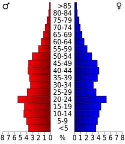 Bevolkingspiramide Coconino County