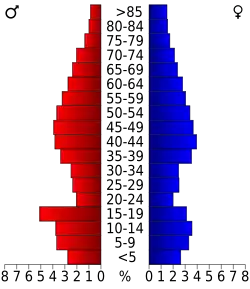 Bevolkingspiramide Colfax County