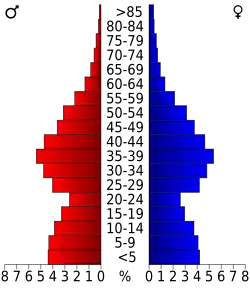 Bevolkingspiramide Collin County