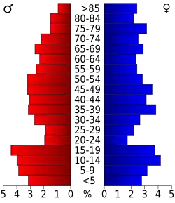 Bevolkingspiramide Collingsworth County