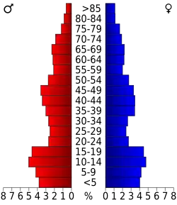 Bevolkingspiramide Conejos County