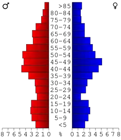 Bevolkingspiramide Cook County