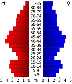 Bevolkingspiramide Coös County