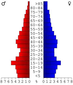 Bevolkingspiramide Copiah County