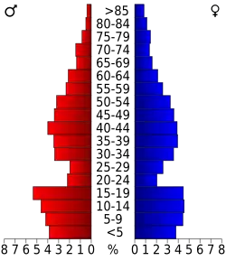 Bevolkingspiramide Crane County