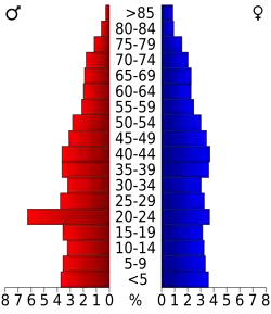 Bevolkingspiramide Craven County