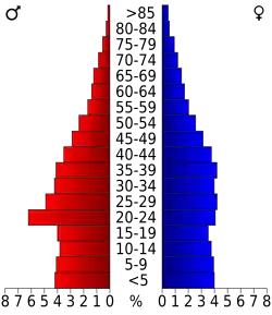 Bevolkingspiramide Cumberland County