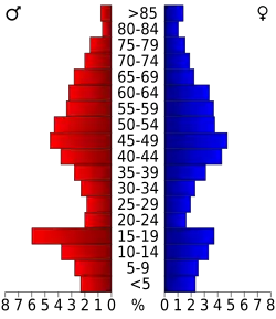 Bevolkingspiramide Custer County