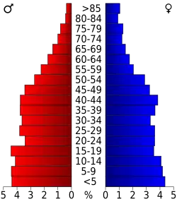Bevolkingspiramide Dakota County