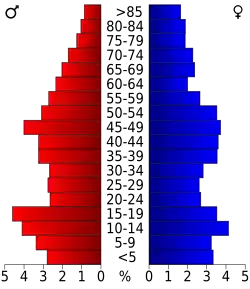 Bevolkingspiramide Dallas County