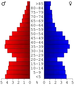 Bevolkingspiramide Dallas County