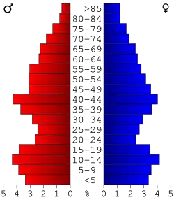 Bevolkingspiramide Dallas County