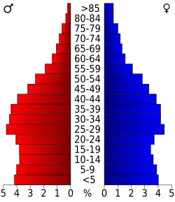 Bevolkingspiramide Dallas County
