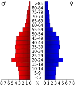 Bevolkingspiramide Dane County