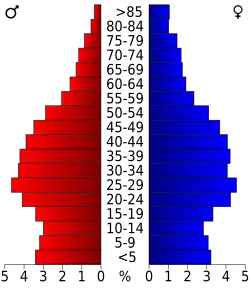 Bevolkingspiramide Davidson County