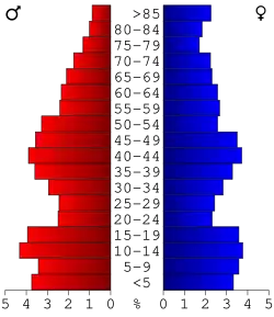 Bevolkingspiramide Davis County