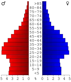 Bevolkingspiramide DeKalb County