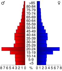 Bevolkingspiramide DeKalb County